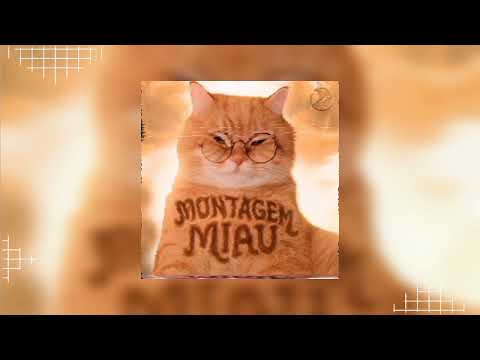 Montagem Miau (Extended)