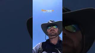 Joondalup Pest Control Perth