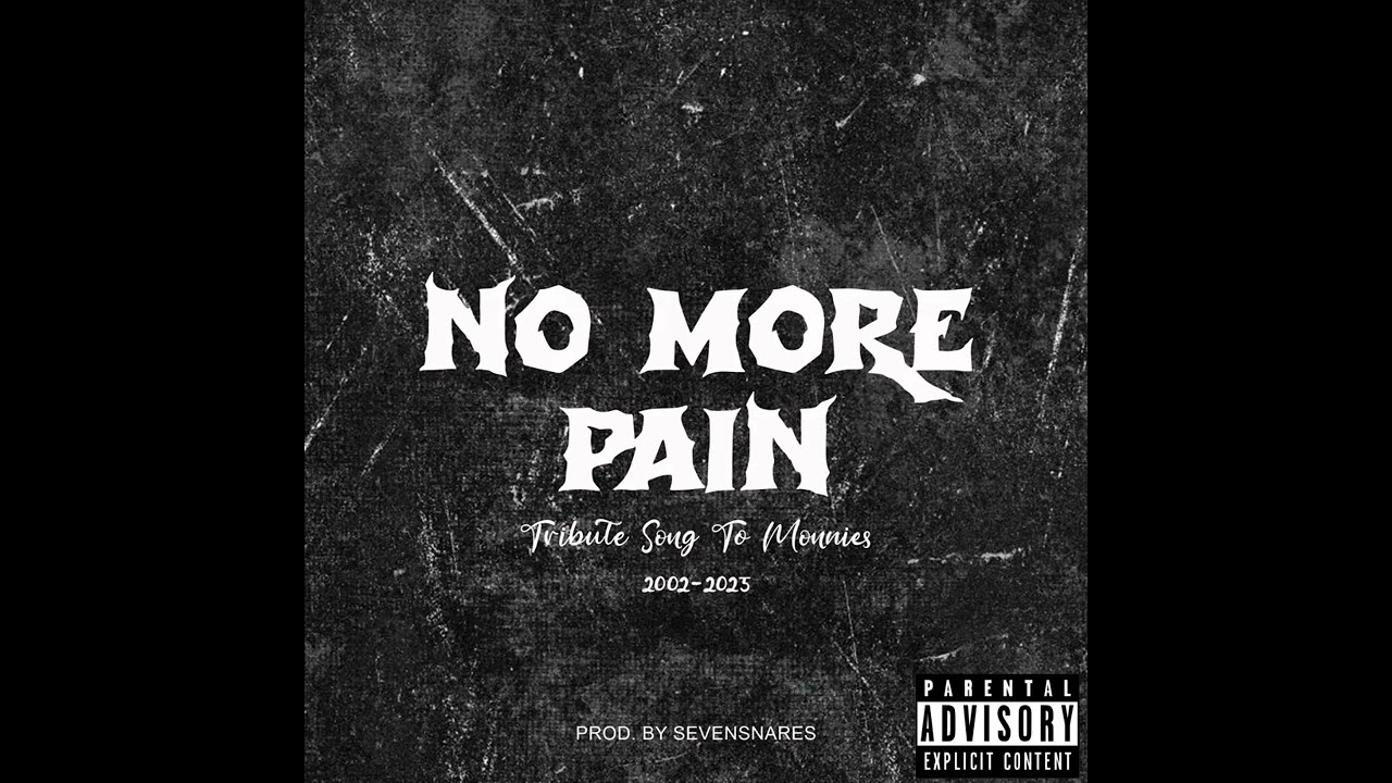 NO MORE PAIN(tribute to song to monnies) -audio slide-