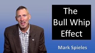 The Bull Whip Effect