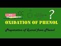 Oxidation reaction of phenol preparation of 14benzoquinone from phenol  organic chemistry