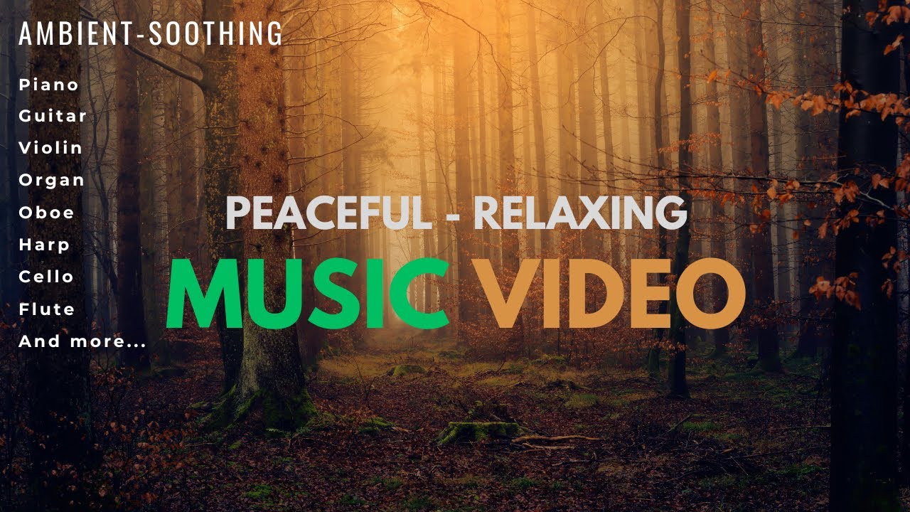 RELAXING AMBIENT SOOTHING MUSIC VIDEO BY HARRY GOES TO PUPPETS