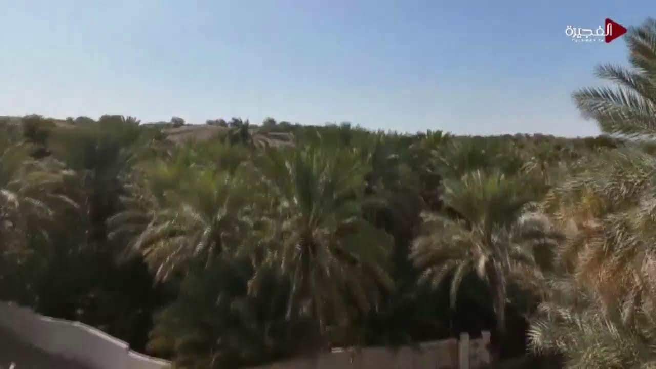 رحلة ساحرة في قلب منطقة حبحب بإمارة الفجيرة