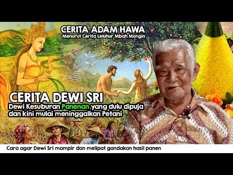 Mbah Mongin, Cerita tentang Dewi Sri. Dewi Kesuburan Tanaman yang mulai meninggalkan Petani