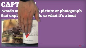 Nonfiction Text Features