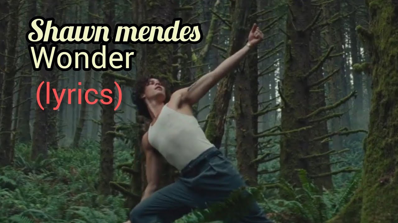 WONDER(ft.Shawn mendes), lyrics song... YouTube