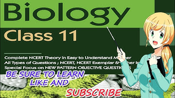Biology Chapter 20 Locomotion & Movement part 12 Cross bridge cycle CBSE class 11 XI  720 X 1280