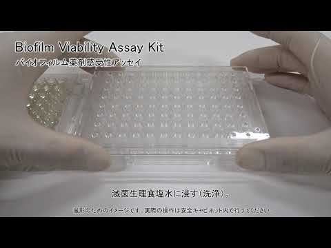 Biofilm Viability Assay Kit　同仁化学研究所