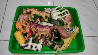 ASMR Toy Sounds | Satisfying Animal &amp; Dinosaur Figures Tapping and Dropping | No Talking
