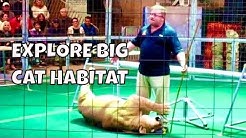 Big Cat Habitat - Review - Sarasota, FL 