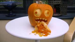 PUMPKIN BEING SICK!! News