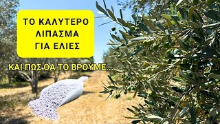 ΤΟ ΚΑΛΥΤΕΡΟ ΛΙΠΑΣΜΑ ΓΙΑ ΕΛΙΕΣ....