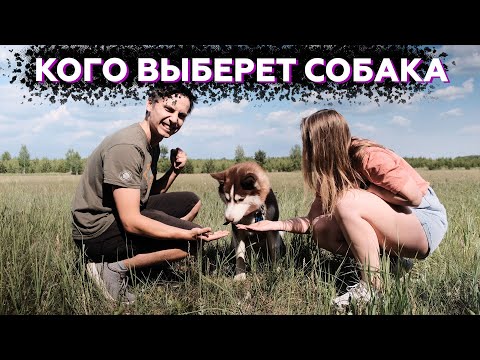 За кем ПОБЕЖИТ