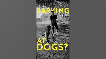 How to Teach Your Dog to Stop Barking at Other Dogs (WITH 1 BEHAVIOR) #dogtraining #puppytraining