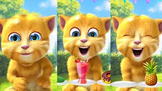 talking ginger kids favorite cat laughing 😂 scenes eating healthy fruit 🍔🥞🍍🥪🍰🍉🍓😋 #funnyvideo #cats