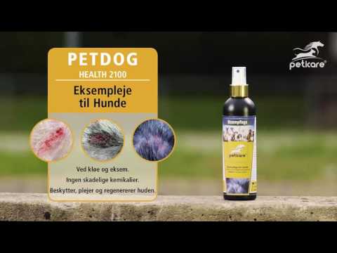 Video: Hvordan Man Behandler Dermatitis Hos Hunde