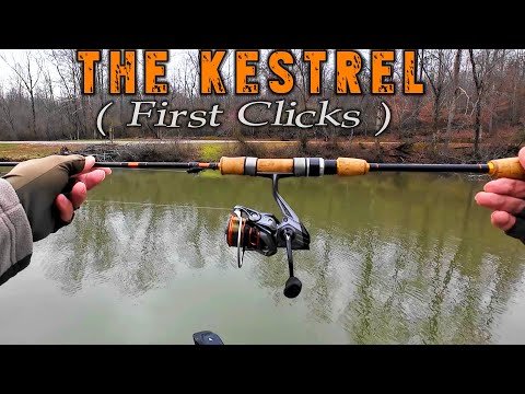 KASTKING Kestrel Action with a SMOOTH DRAG! 