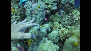 Go Pro Gh010787