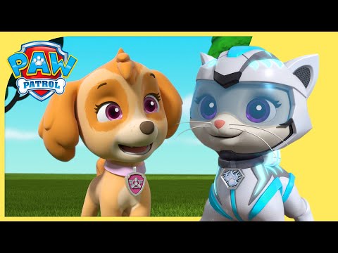 PAW PATROL