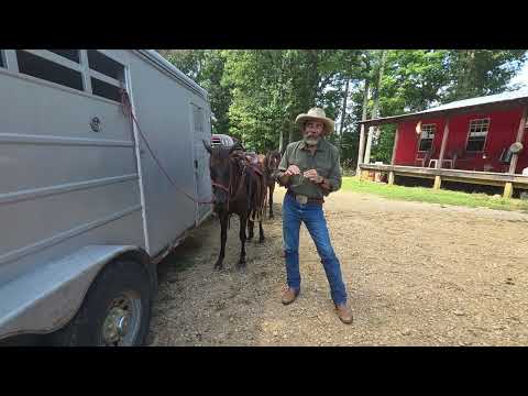 The Myth of the Mustang