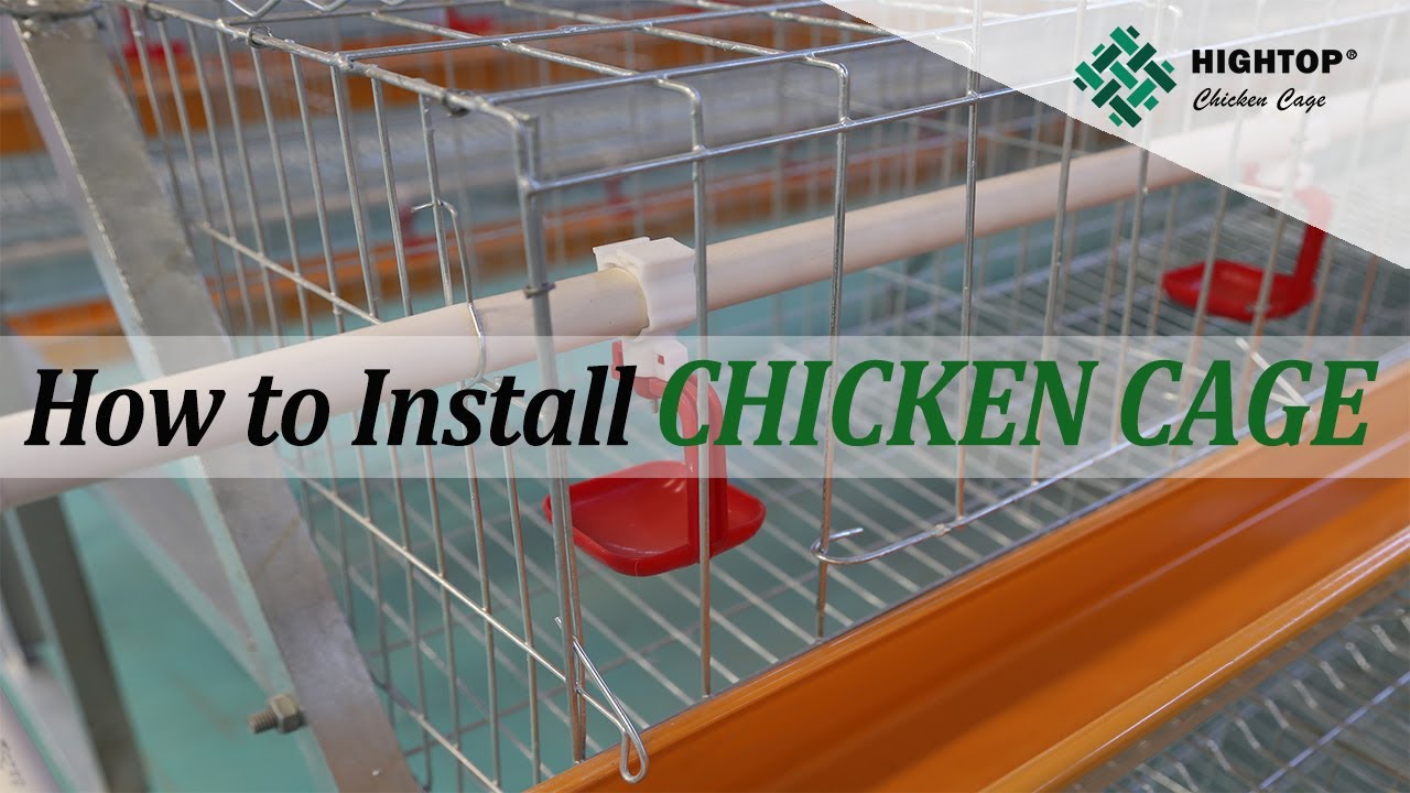 How to Install Layer Chicken Cage-Step 3: water line and feeder trough