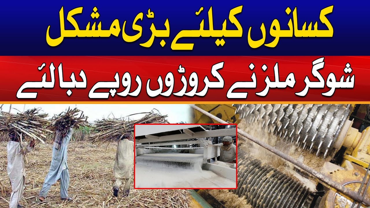 Big Trouble For Farmers | Sugar Mills Did Not Clear Dues | City 41
