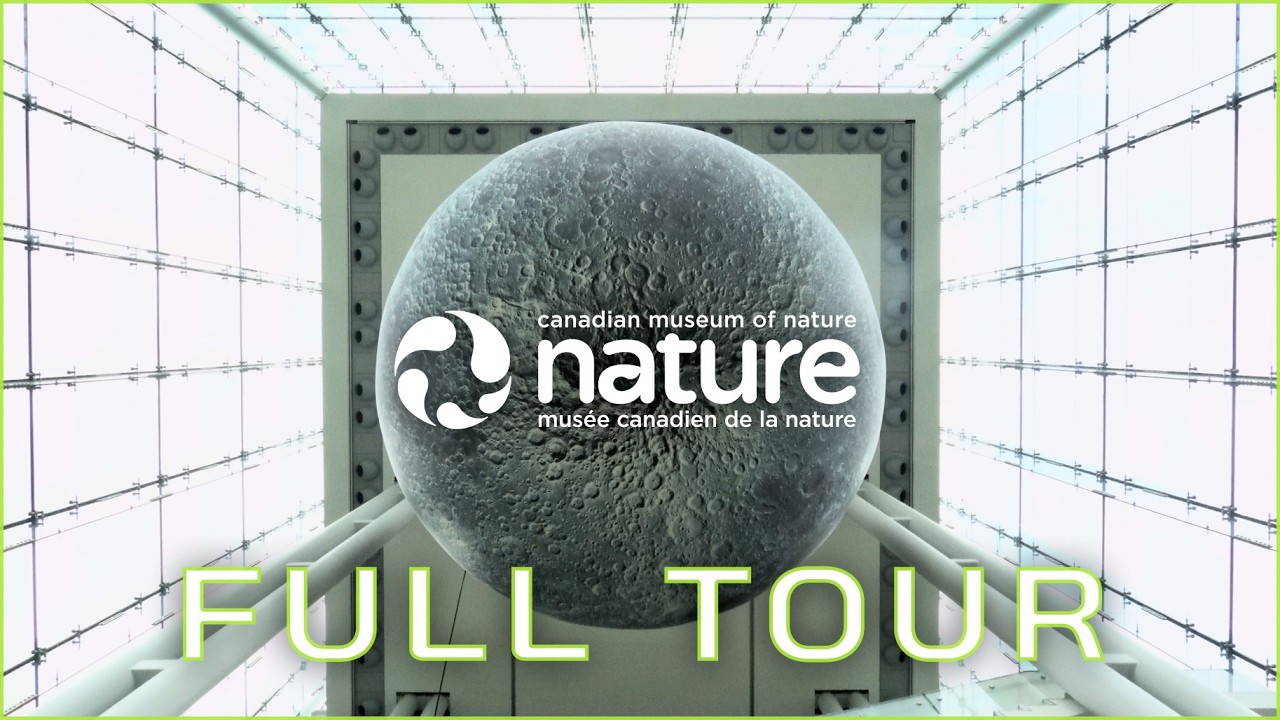 Visiting the Canadian Museum of Nature I Ottawa