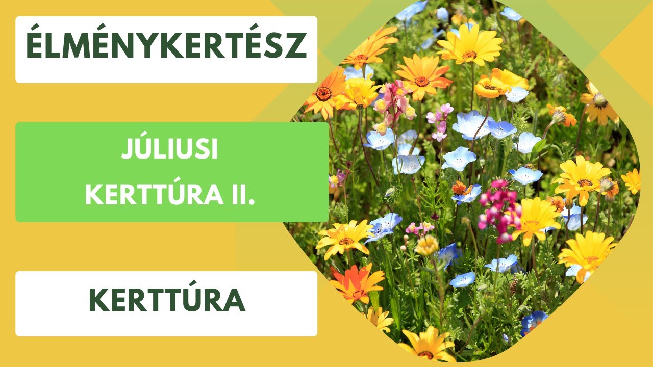 Júliusi kerttúra a kertben🏡