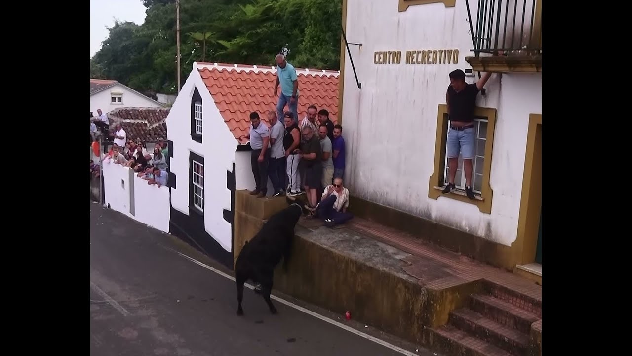 Tourada Na Fontinha - Touros FP (24,61,42,26) - 6/7/2025 - Ilha Terceira - Açores - Portugal