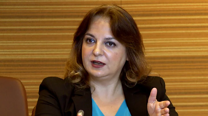Isabel Ortiz - Inequality: bringing redistribution...