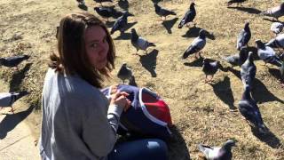 I Fed the Pigeons