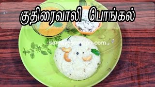 Kuthiraivali Pongal | Barnyard Millet Pongal | குதிரைவாலி பொங்கல் | Samayalkurippu