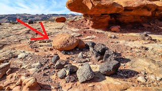 I Found Some Strange And Amazing Things In The Desert