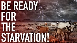 1000s Of Cattle Are Disappearing From The US Food Supply Chain As Global Starvation Plan Accelerates