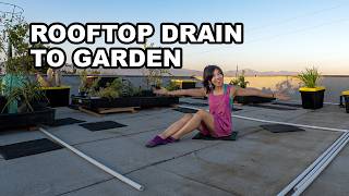 How I Fixed My Rooftop Garden Drainage With Simple Tricks!  |  Ep.3