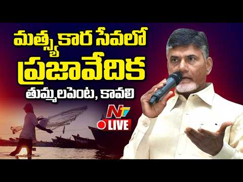 CM Chandrababu LIVE : Participates in the “Matsyakara Sevalo” Programme | NTV Telugu - NTVTELUGU