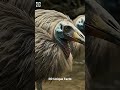 3 Extinct Animals That Scientists Are Trying to Bring Back to Earth
