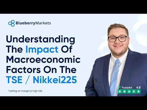 Understanding the impact of macroeconomic factors on the TSE / Nikkei 225