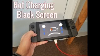 How to Fix Nintendo Switch Black Screen Not Charging Low Power Indicator