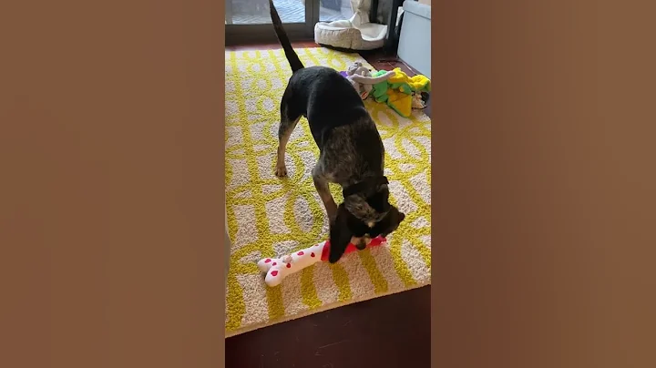 Roscoe Wade Stuffy Time