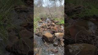 Lesmurdie falls (V2)