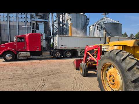 A Practical Look at the Final Push Before Harvest