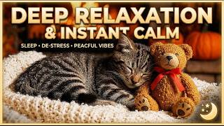 Calm Music for Cats | Anti Anxiety Piano Music for Peaceful Rest and Healing