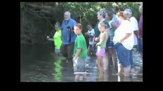 The June Baptism