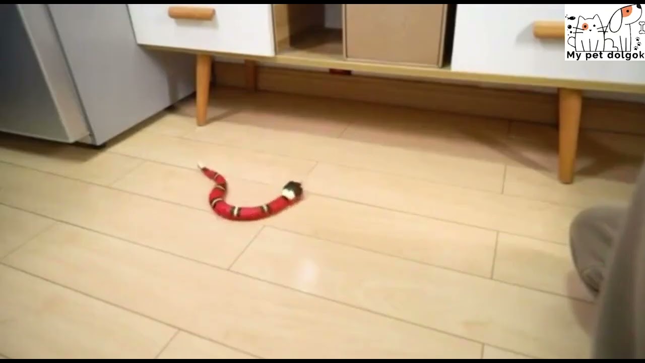 b34e48509a963545f921084e296bb432.mp4