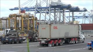Ports Of Auckland Time Lapse