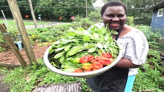 This is a special dish from the garden to table 