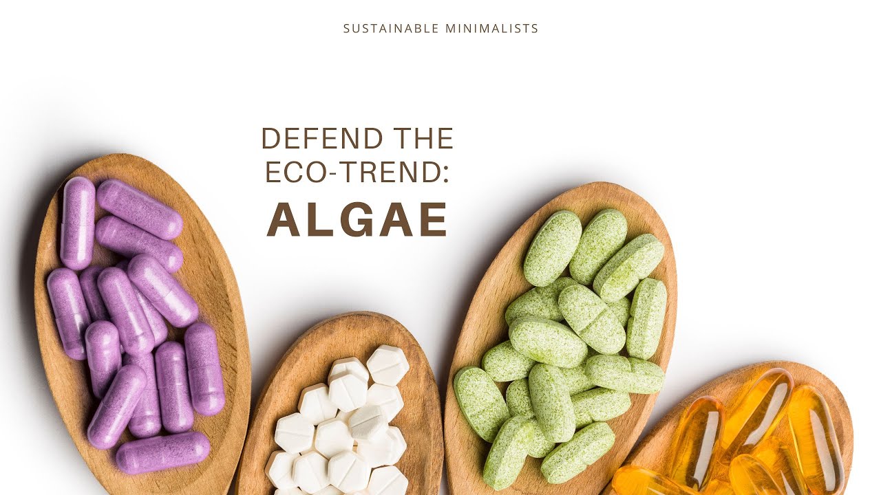 Defend The Eco-Trend: Algae - YouTube