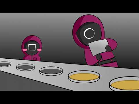 The daily life of the squid game