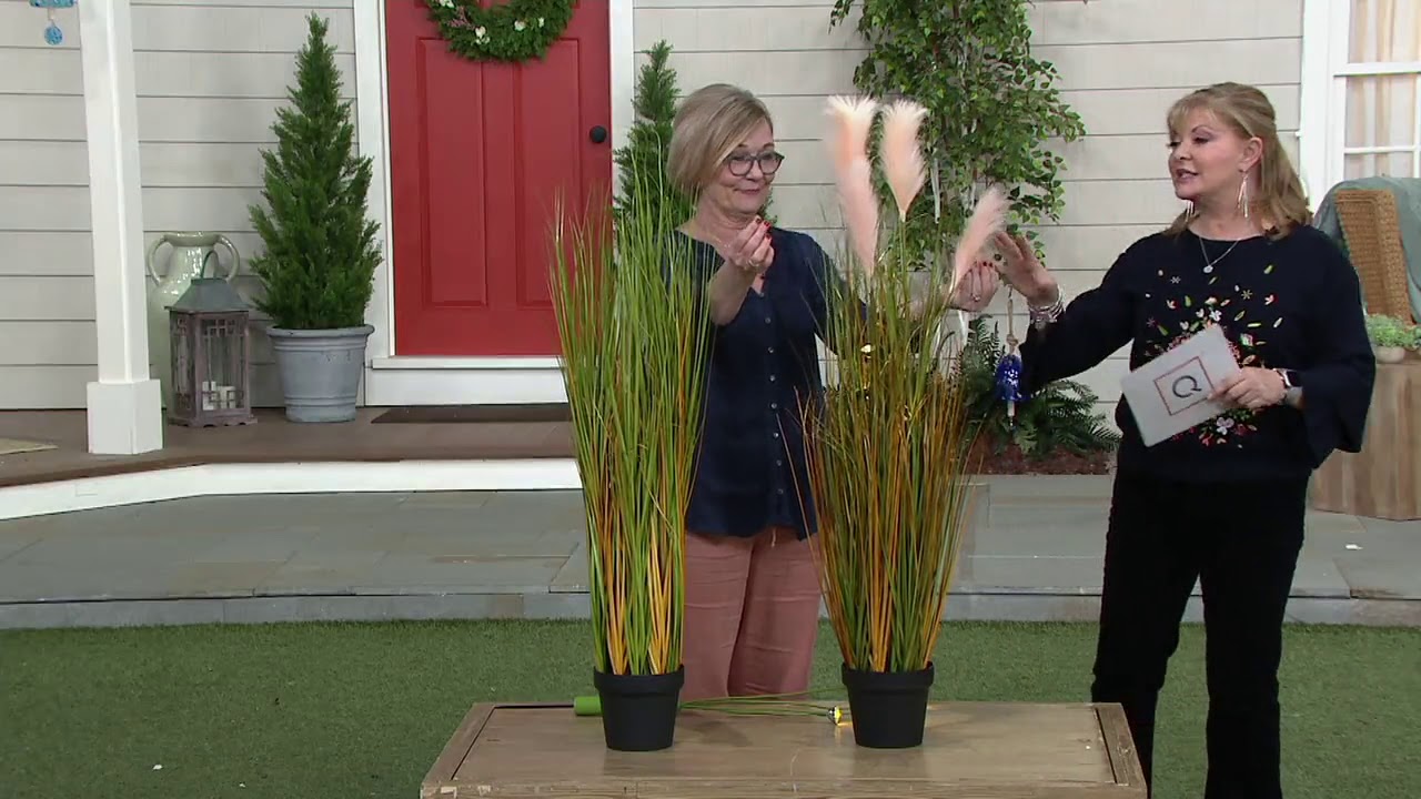 Barbara King Indoor/Outdoor 48" Artificial Decorative Grasses on QVC